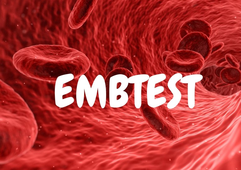 <alt> EMB  Bloedtest Bolsward 